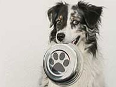 ant-schling-napf-hund-kaufen