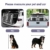 EUGAD Hundetransportbox Alubox Autobox für mittelgroße große Hunde, mit herausnehmbarer Trennwand und 2 Türen, für Border Collie, Samojede, Labrador, Husky und Schäferhund, B97x H66 x T92 cm 0012LL - 2