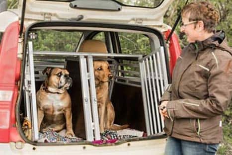 Welche Kauffaktoren es beim Bestellen die Hundegitterbox fürs auto zu analysieren gibt