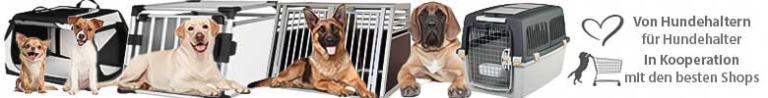 Hundebox Größe - Hundebox wie groß? Hier die Antwort!