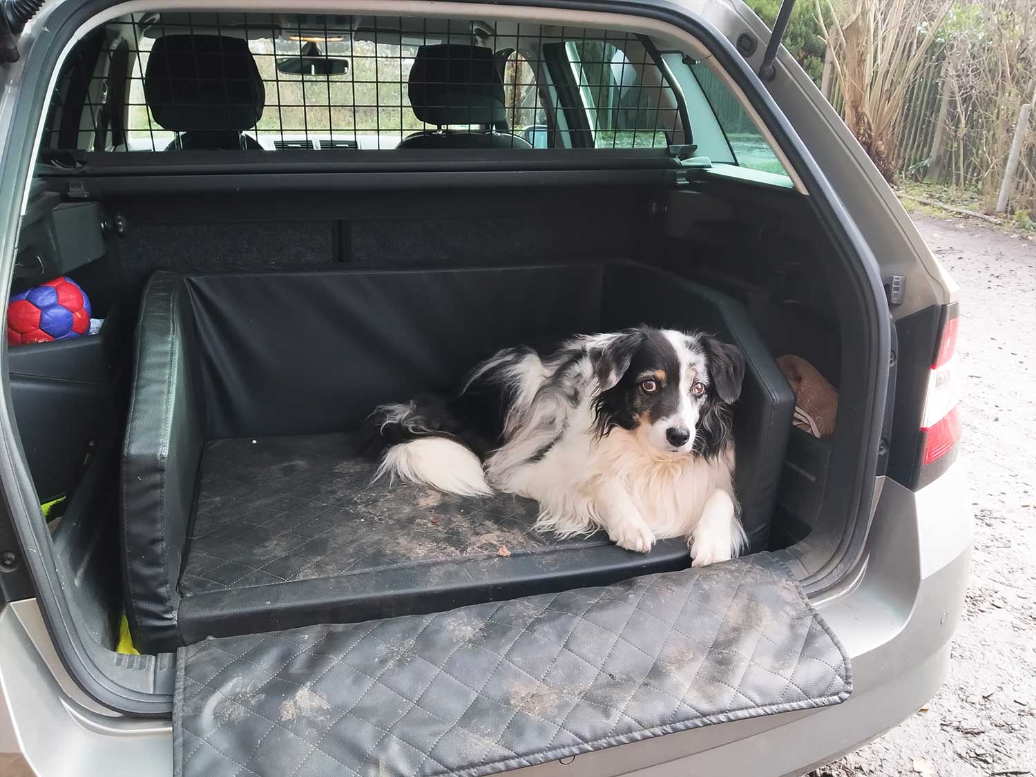 kofferraumschutz-hund