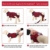 Kuoser Gestreifter Erholungsanzug für Hunde Katzen nach der Operation, Schutz vor Wund-/Hautkrankheiten bei Katzen, Weich & Atmungsaktiv, E-Halsband-Alternative für Haustiere - 6