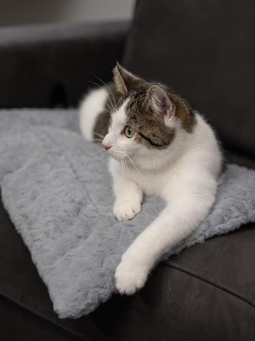 TrendPet Hundedecke Heaven gefütterte Liegedecke, Wendedecke für Hunde und Katzen, Grau (50x35cm) - 3