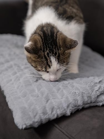 TrendPet Hundedecke Heaven gefütterte Liegedecke, Wendedecke für Hunde und Katzen, Grau (50x35cm) - 5