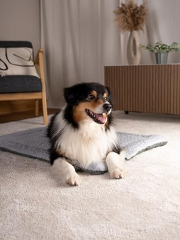 TrendPet Hundedecke Heaven gefütterte Liegedecke, Wendedecke für Hunde und Katzen, Grau (50x35cm) - 6