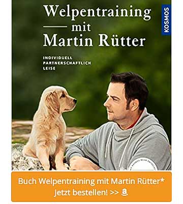 labrador welpen training-martin-ruetter